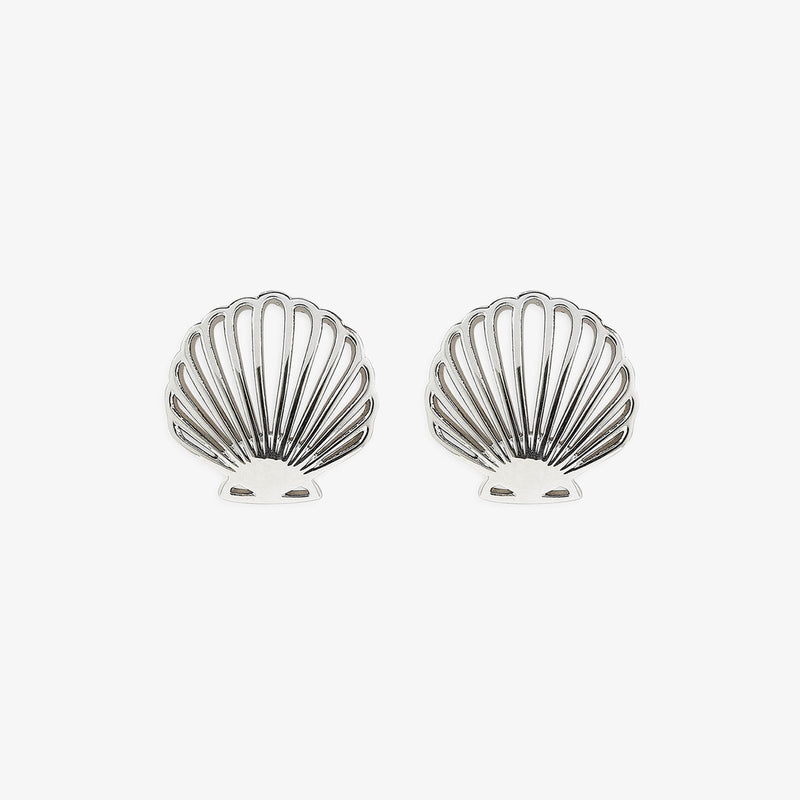 Delicate Shell