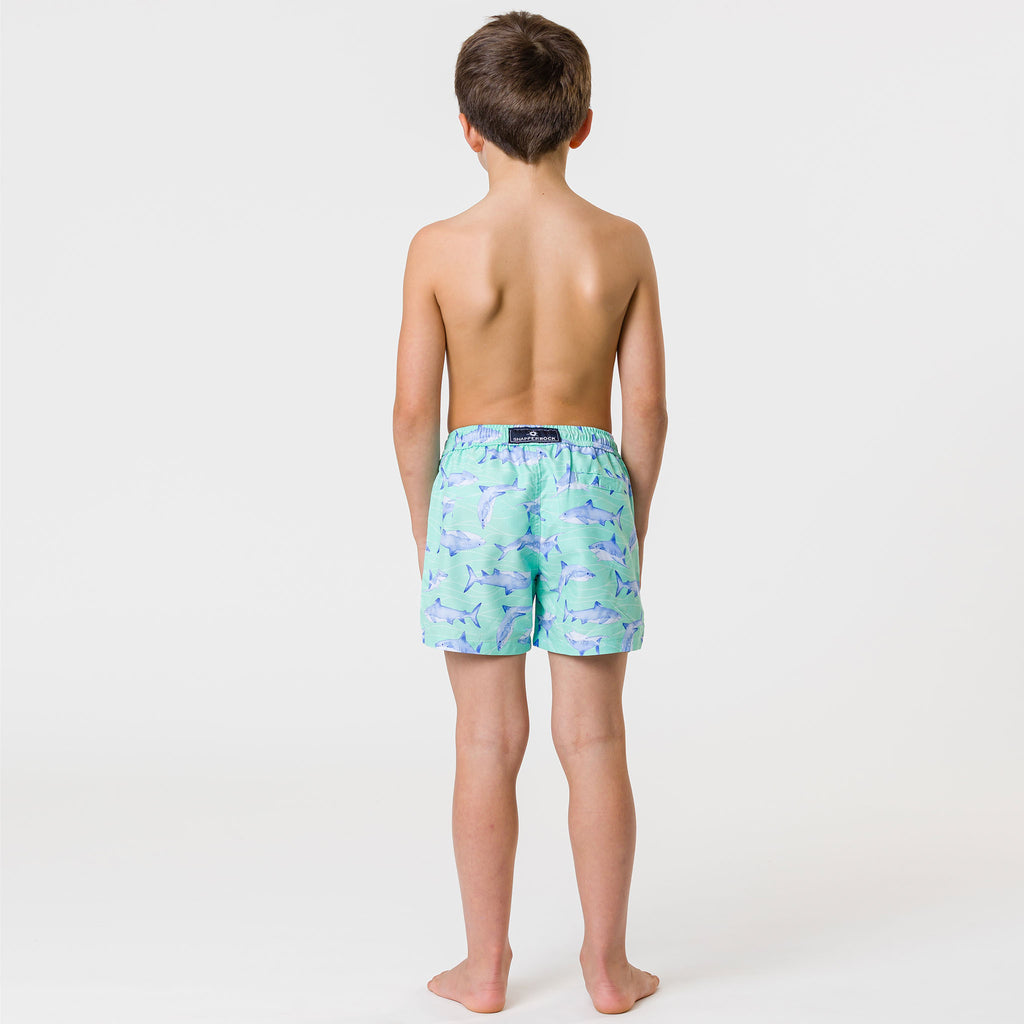 Minty Shark Volley Board Short