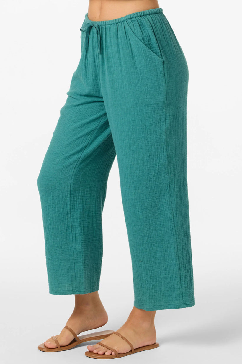 Brenda Pant