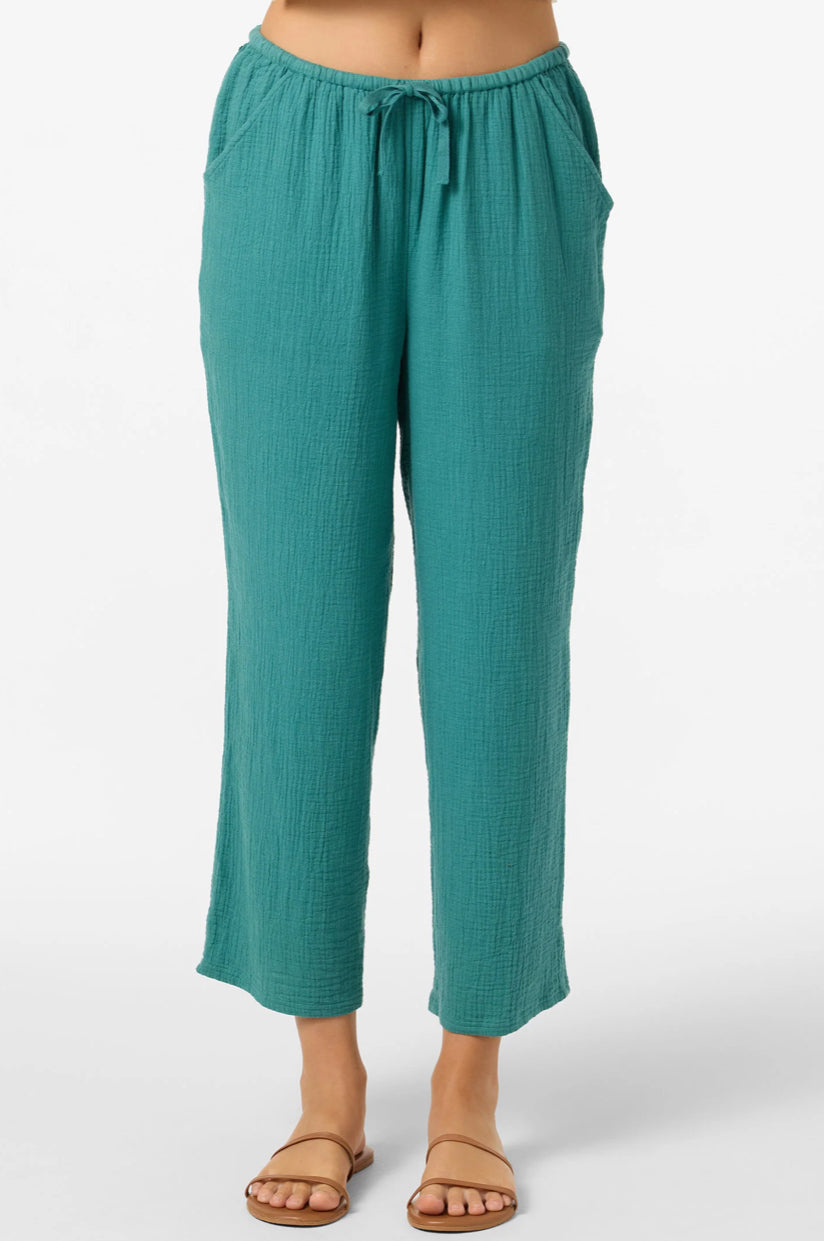Brenda Pant