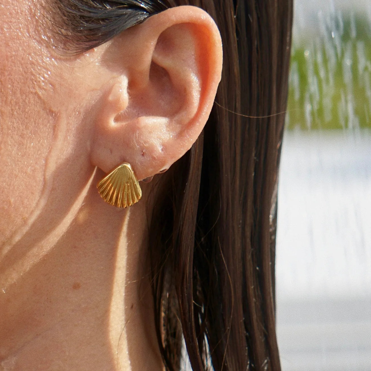 Libby Shell Earrings