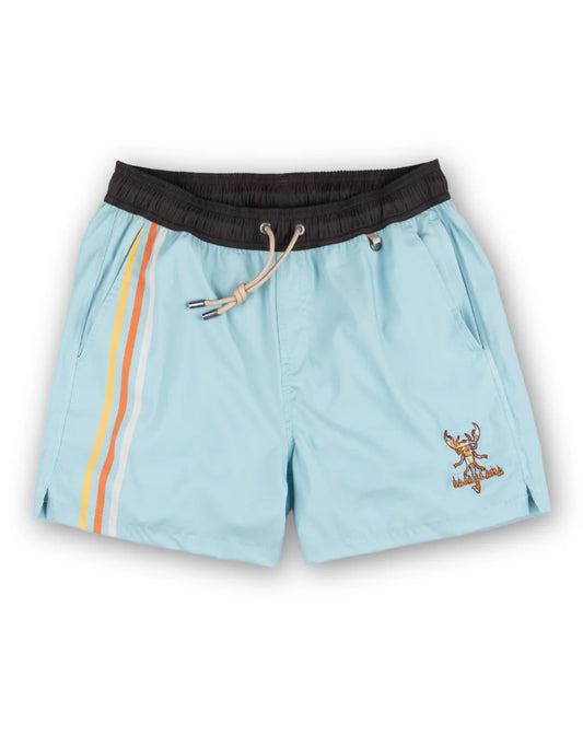 Desert Stinger-Aqua Stripes Stretch Swimsuit