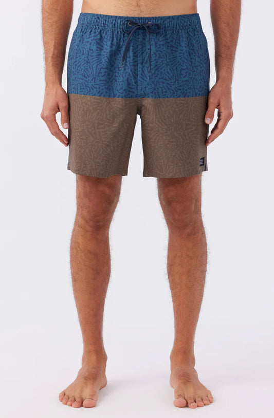 Hermosa 17” Boardshorts