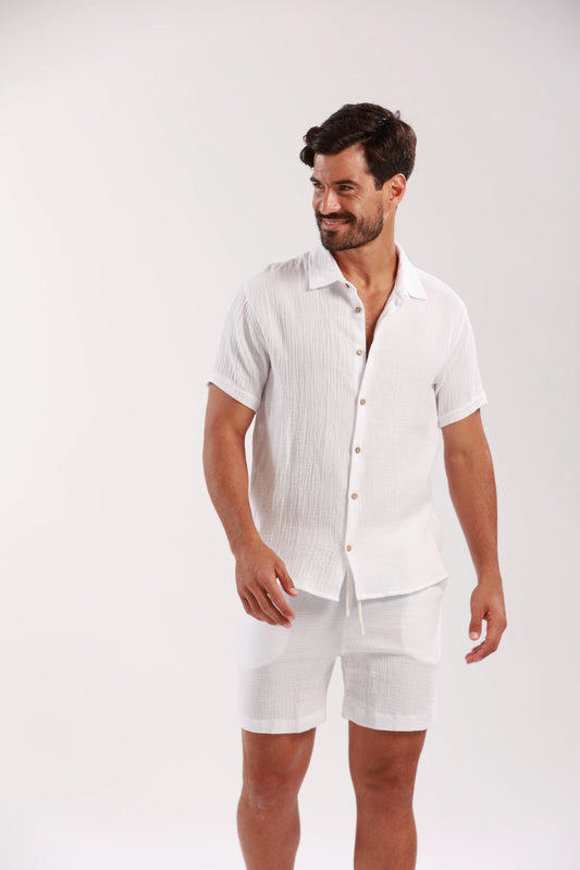 Artesa Mens Shirt