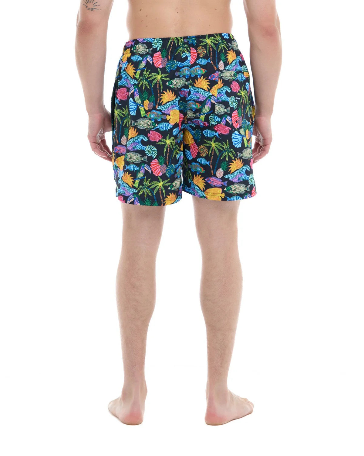 Fish Tank Shorts